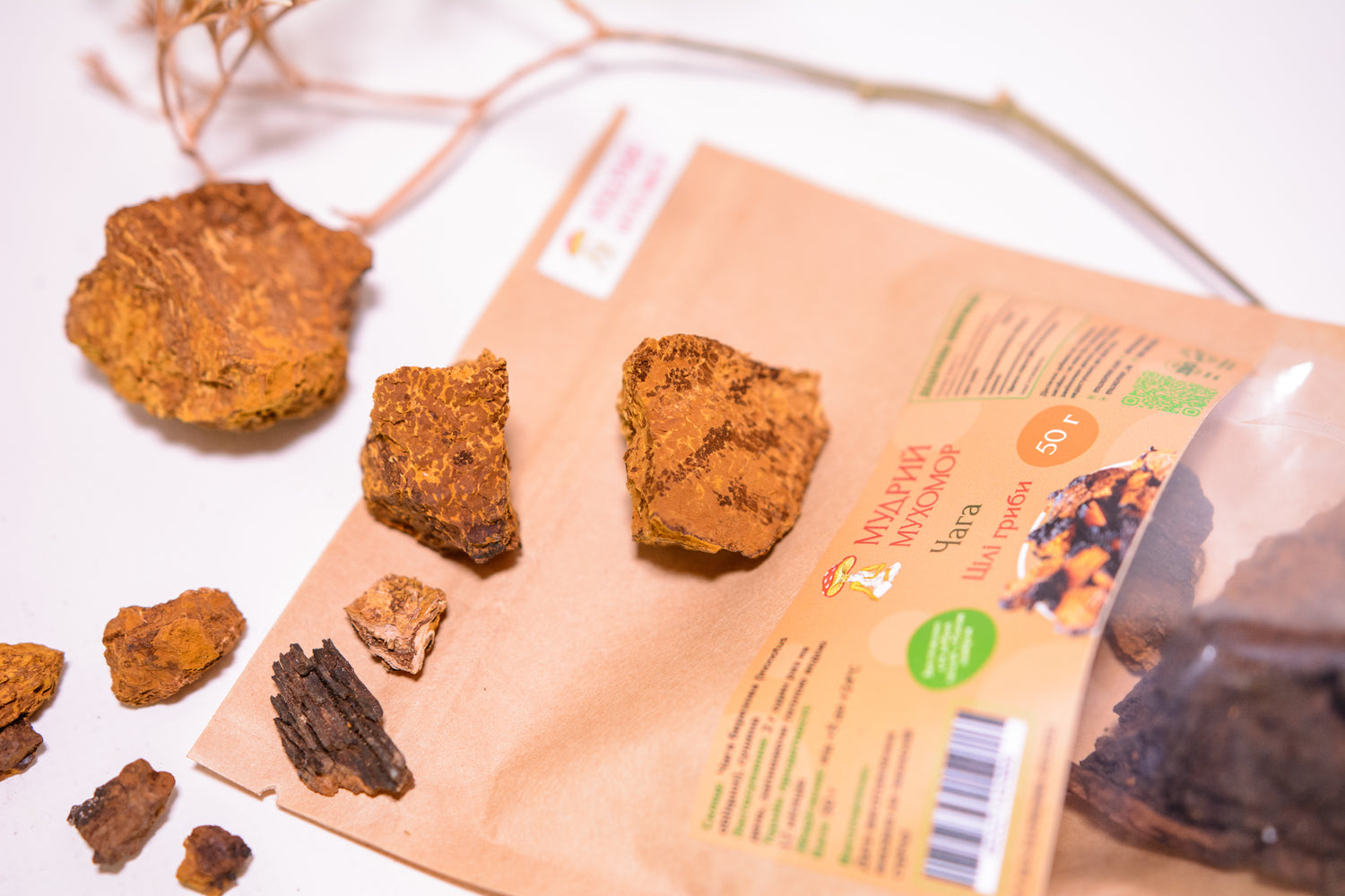 Березова Чага ціла