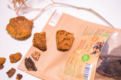 Березова Чага ціла