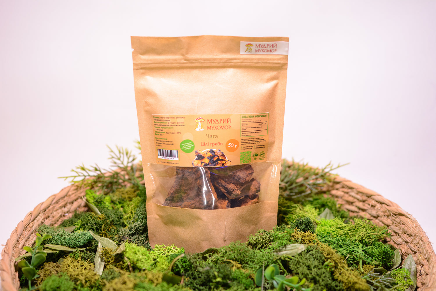 Березова Чага ціла