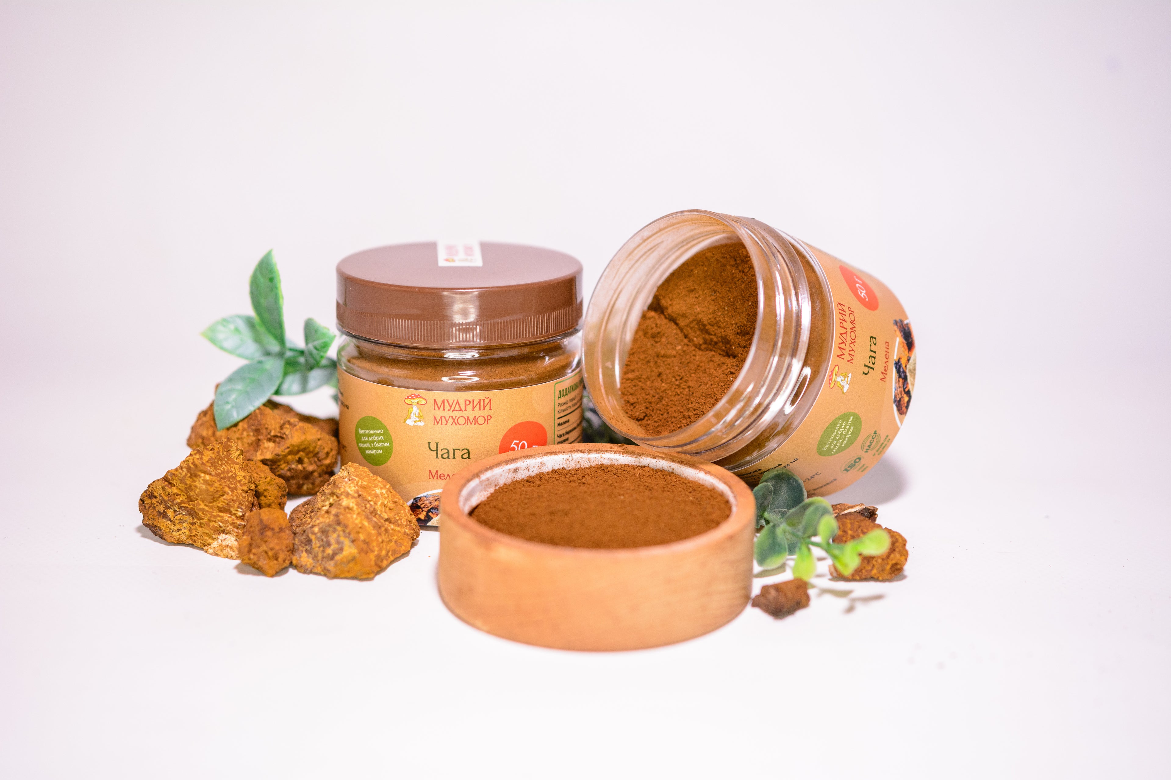 Березова Чага мелена