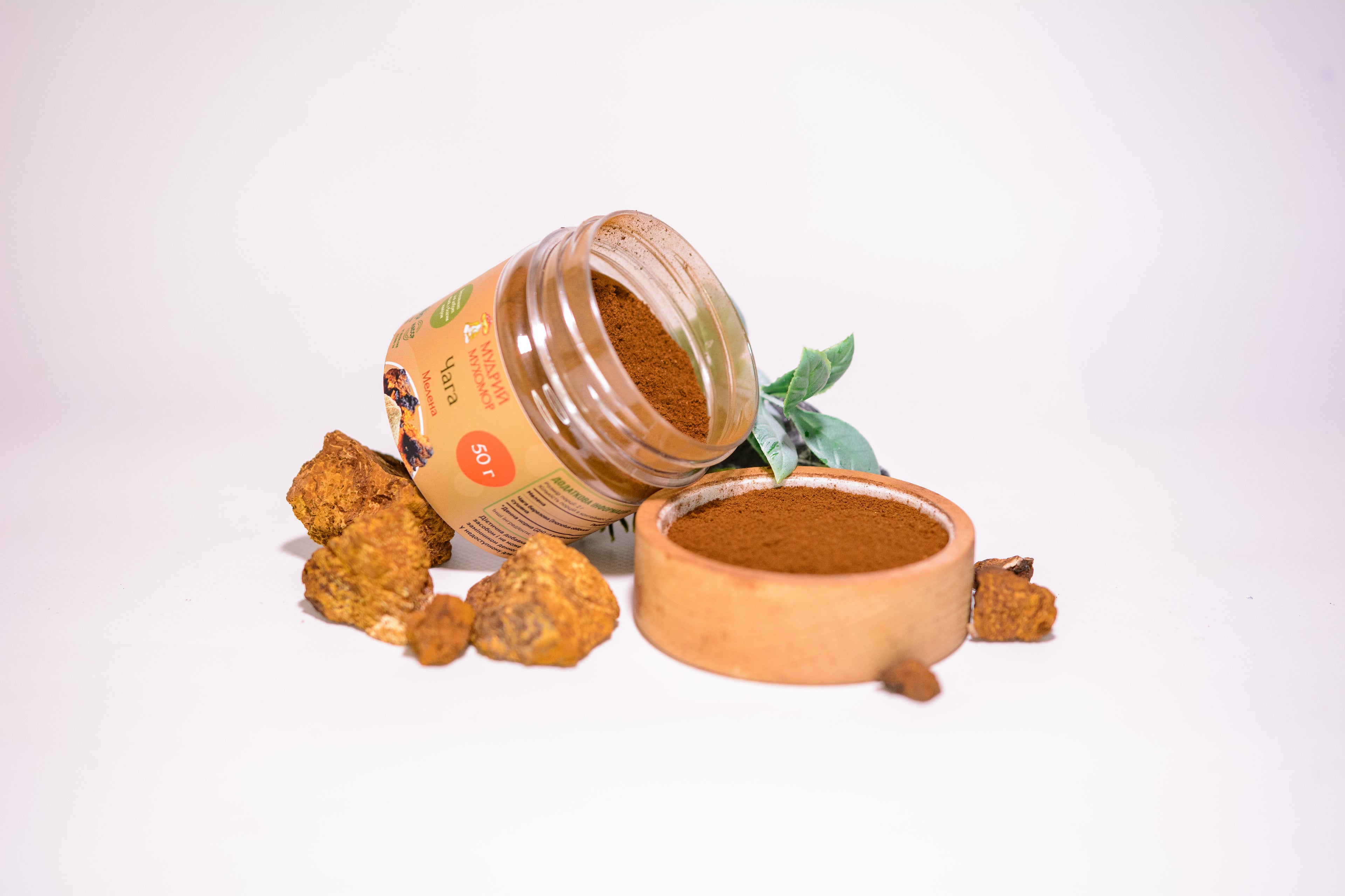 Березова Чага мелена