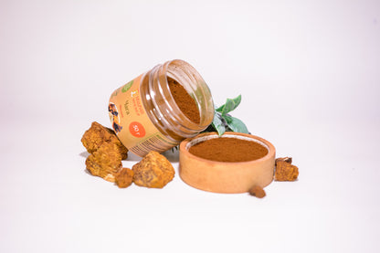 Березова Чага мелена