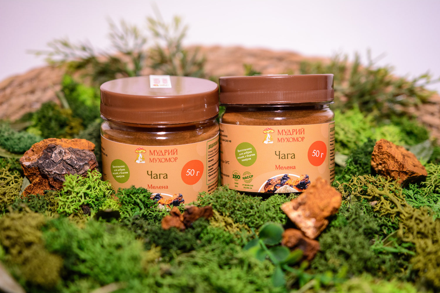 Березова Чага мелена