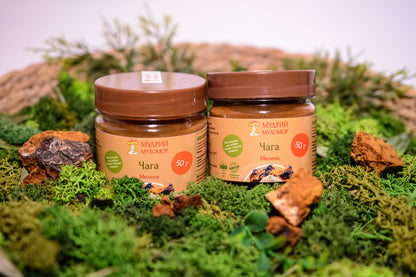 Березова Чага мелена