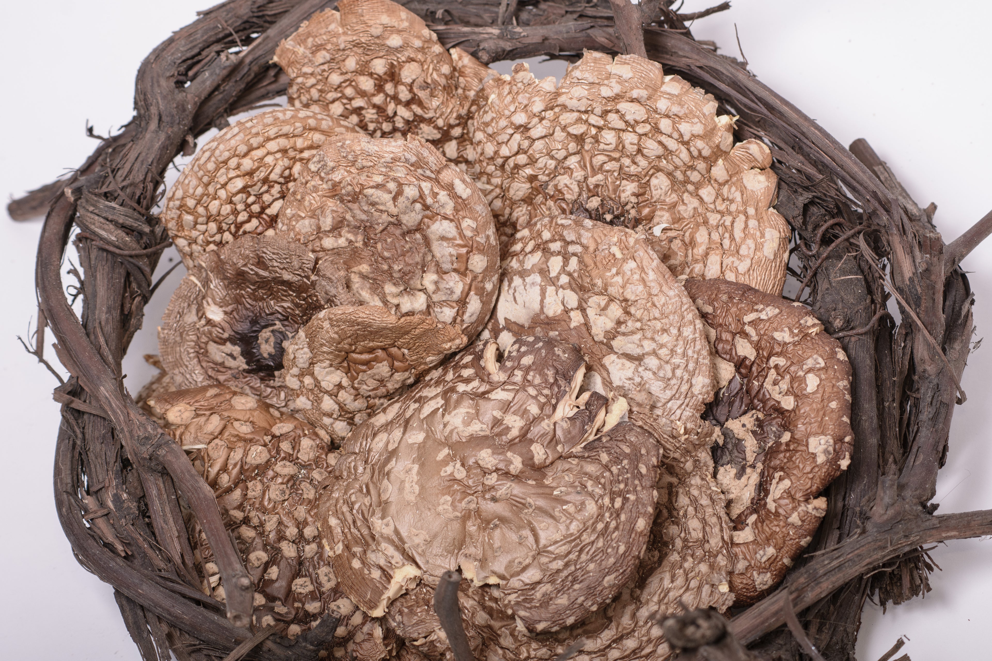 Мухомор королівський цілі капелюшки, 50 г