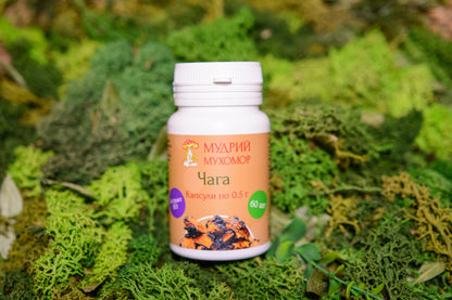 Екстракт березової Чаги  10:1 у капсулах по 0.5 г