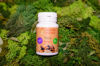 Екстракт березової Чаги  10:1 мелений