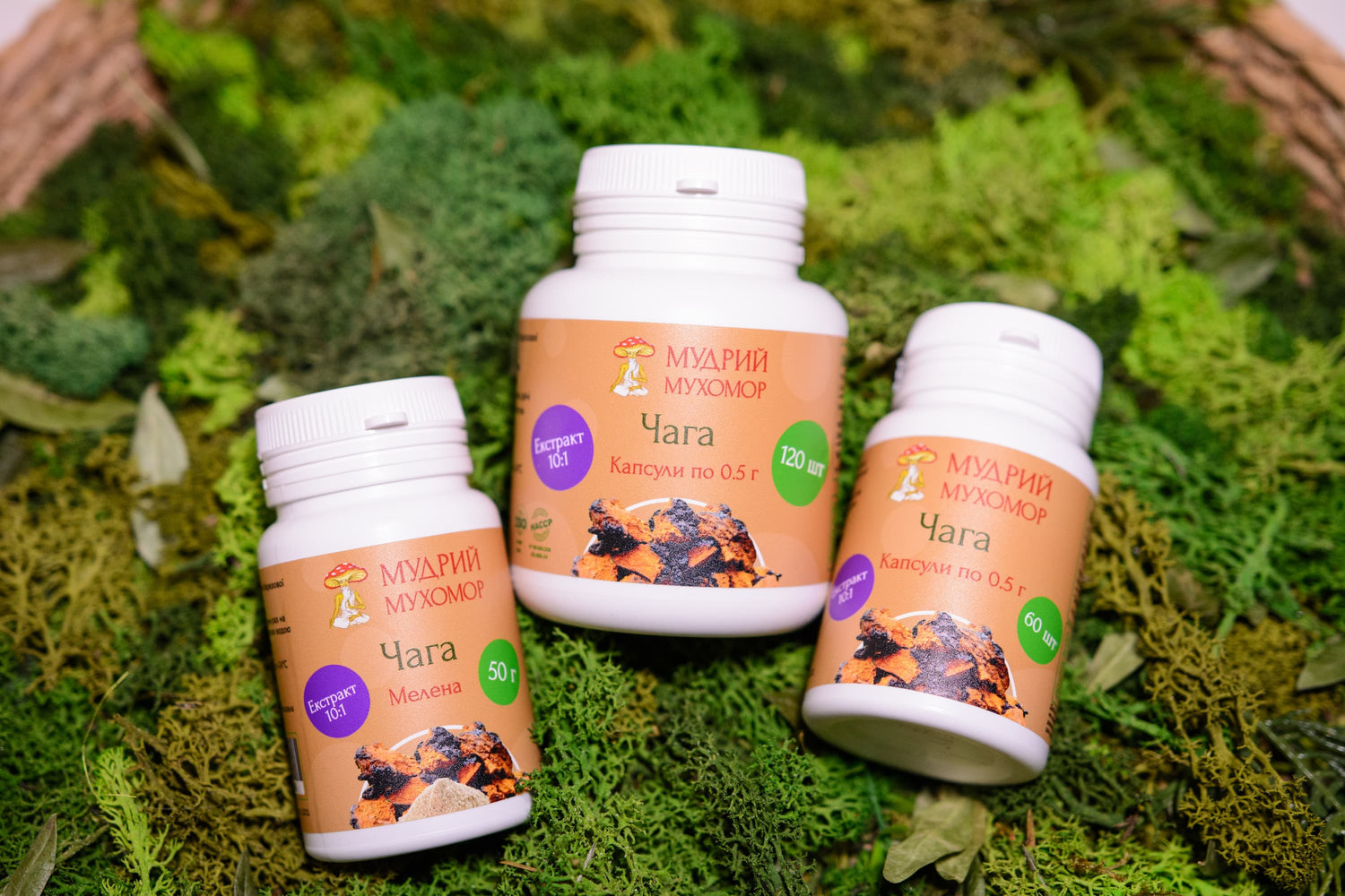 Екстракт березової Чаги  10:1 мелений