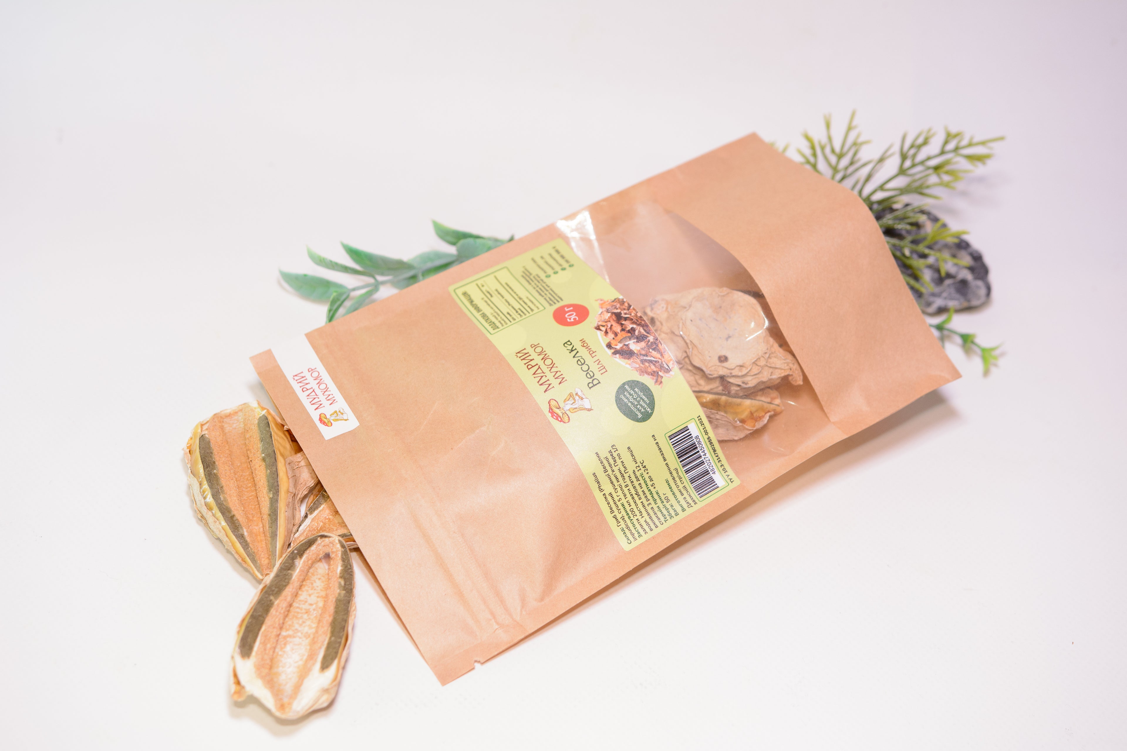 Цілі плодові тіла Веселки