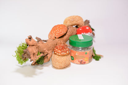 Мікс міцелію Їжовика з Мухомором червоним, 60 капсул по 0.5 г