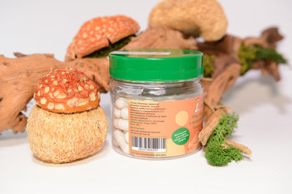 Мікс міцелію Їжовика з Мухомором червоним, 60 капсул по 0.5 г