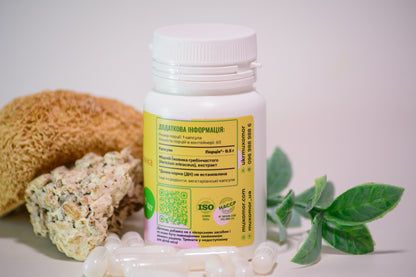 Екстракт Їжовика гребінчастого міцелій у капсулах по 0.4 г