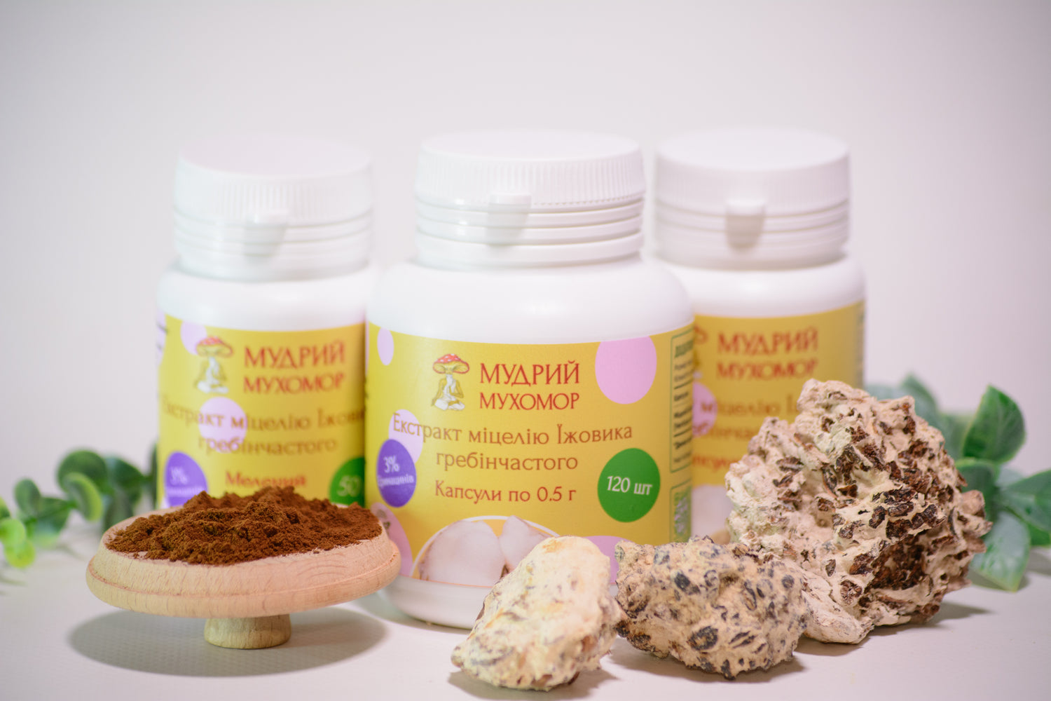 Екстракт міцелію Їжовика гребінчастого 10:1 мелений