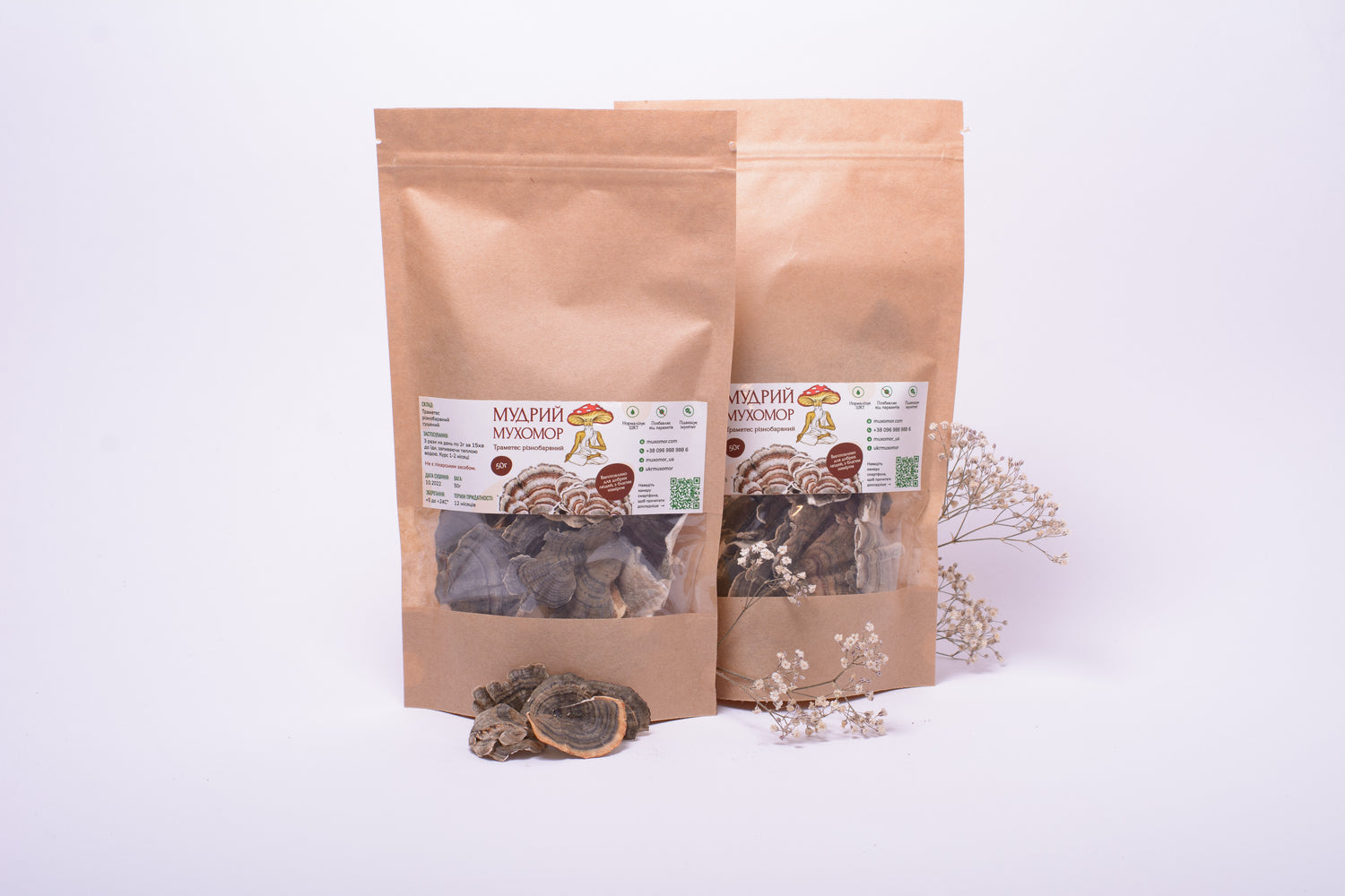 Цілі плодові тіла Траметеса різнобарвного