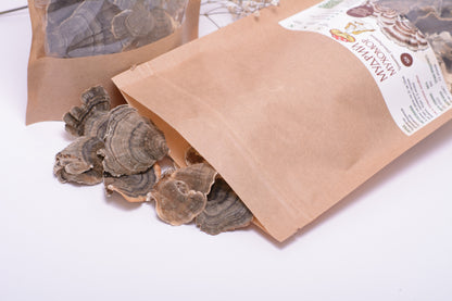 Цілі плодові тіла Траметеса різнобарвного