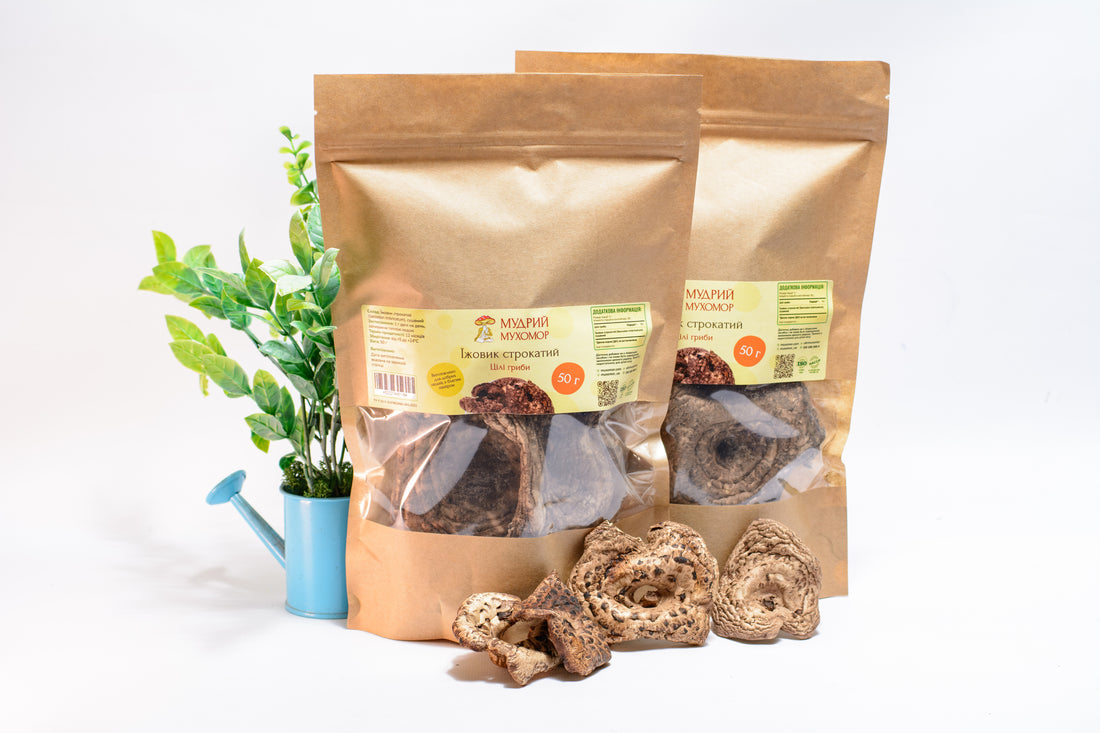 Цілі плодові тіла Їжовика строкатого