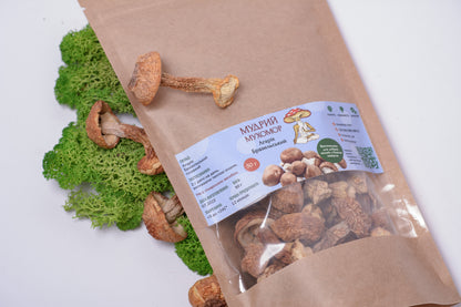 Цілі плодові тіла Агаріка бразильського