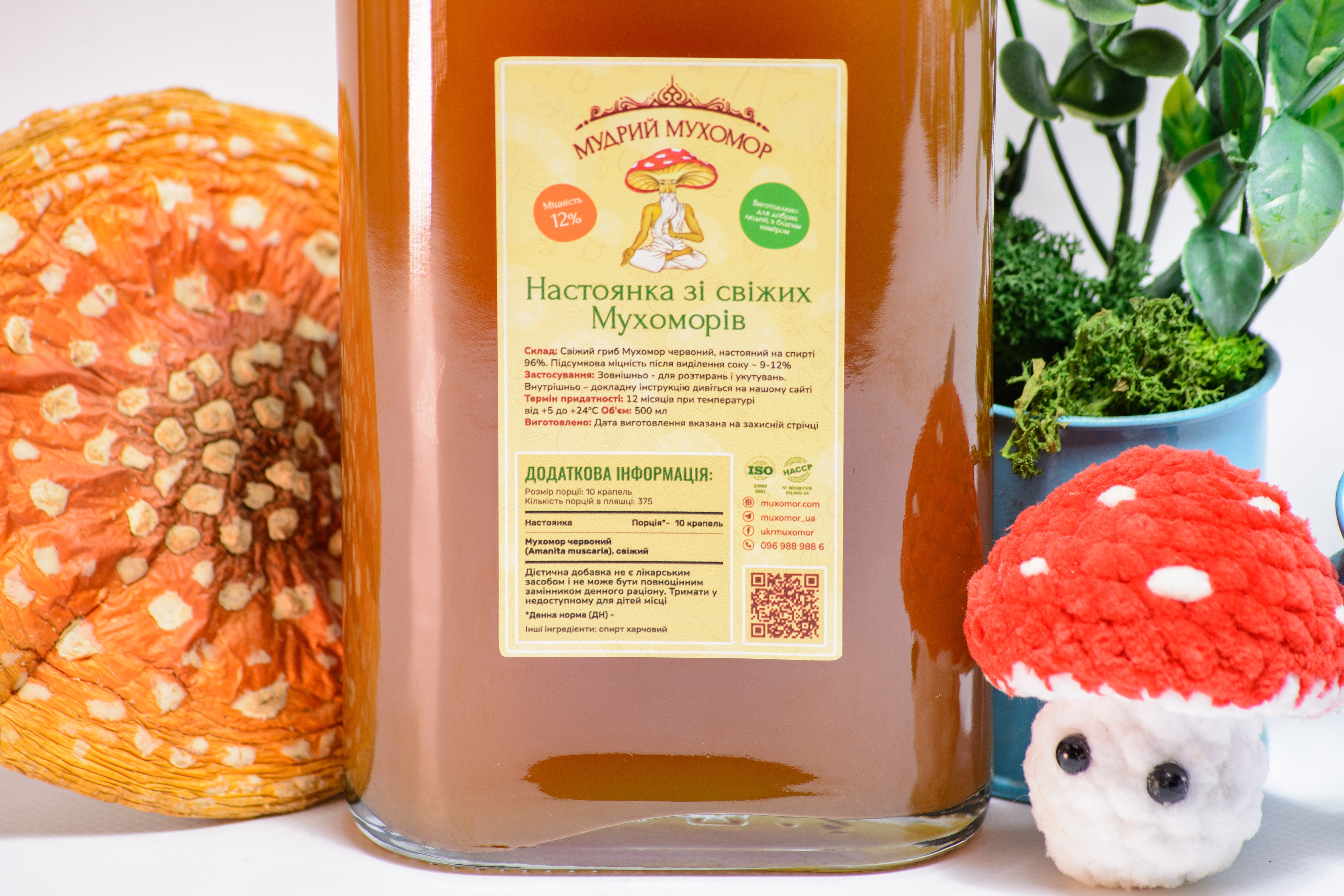 Мухомор червоний, настоянка зі свіжих капелюшків