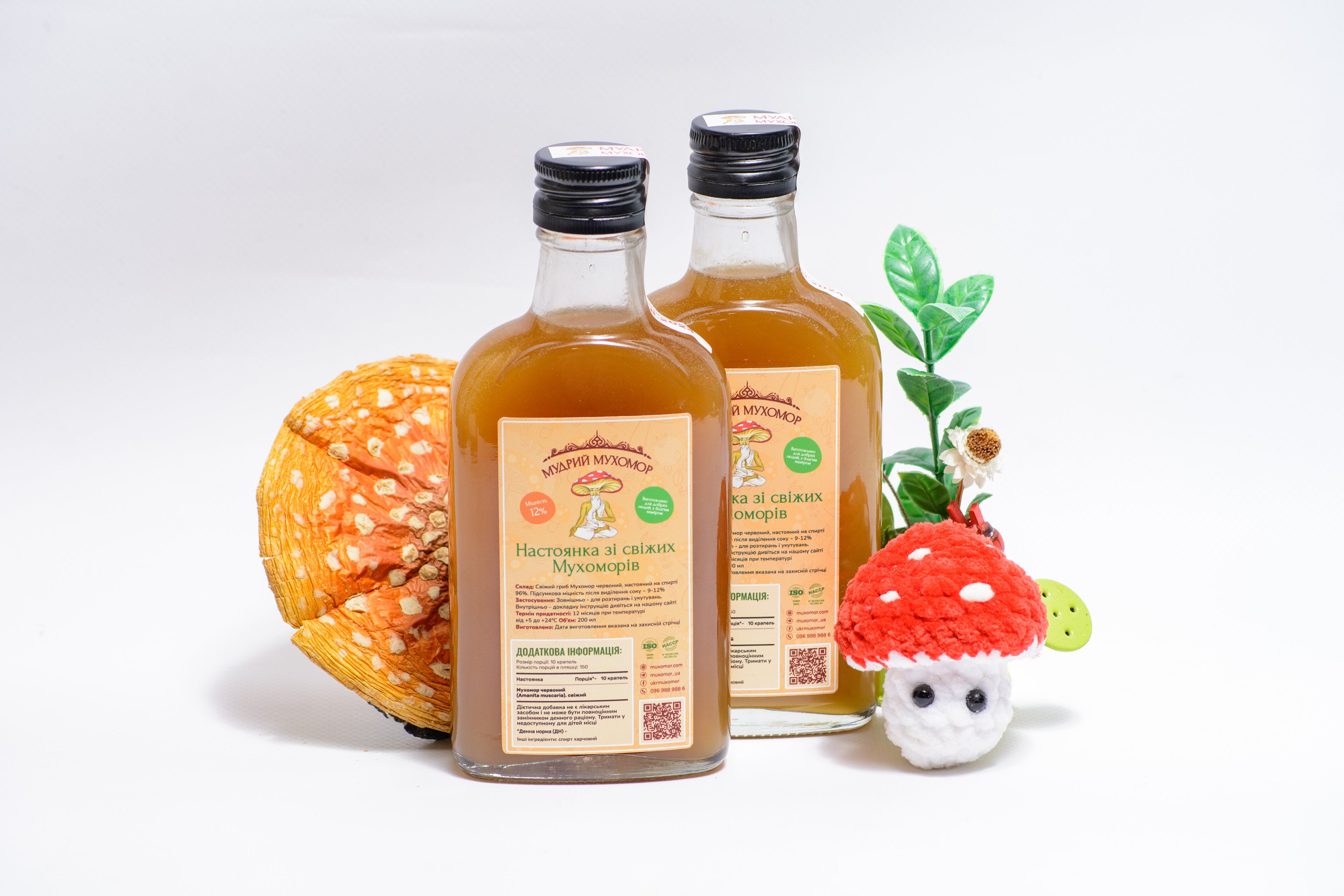 Мухомор червоний, настоянка зі свіжих капелюшків