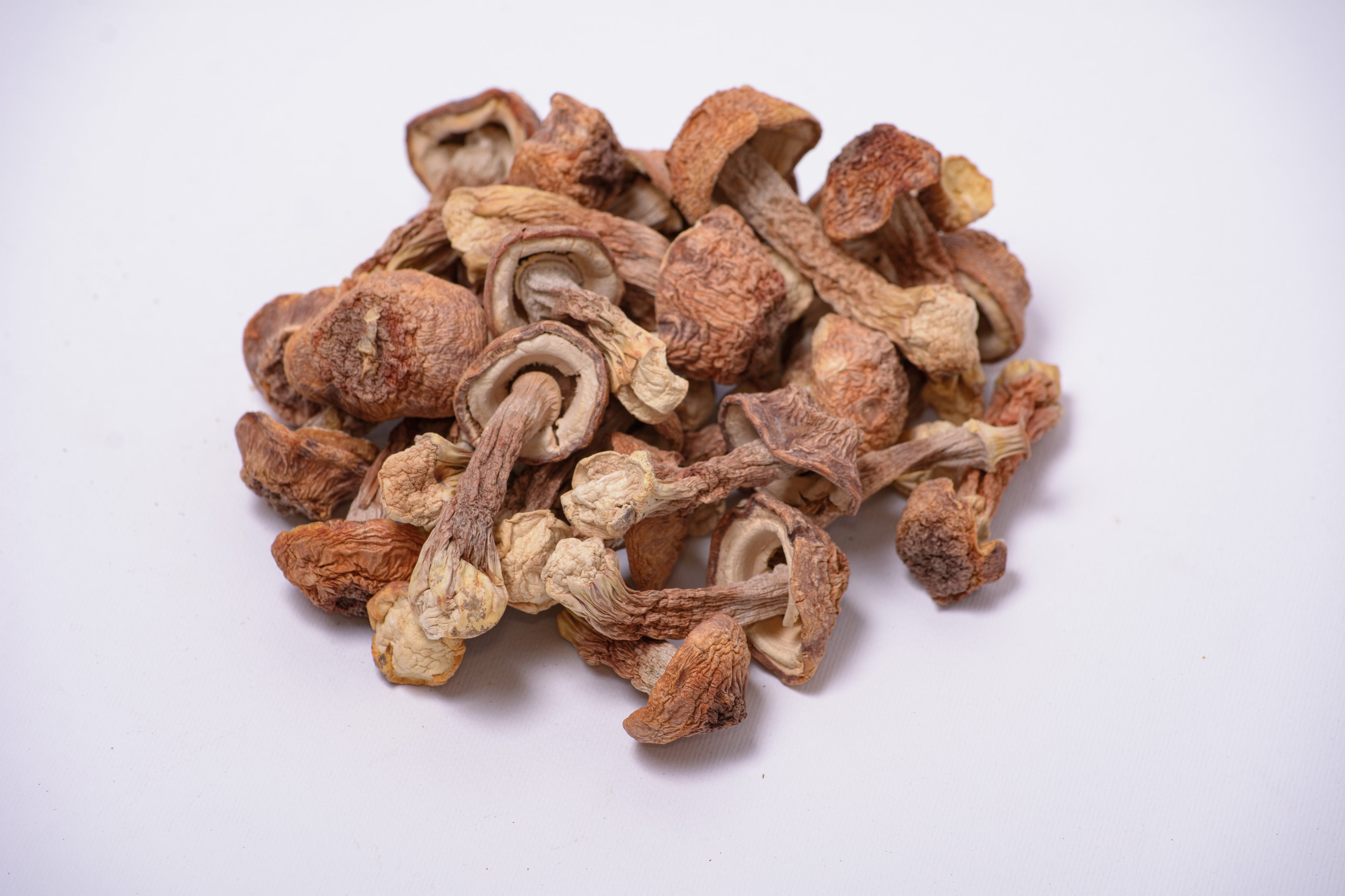 Цілі плодові тіла Агаріка бразильського