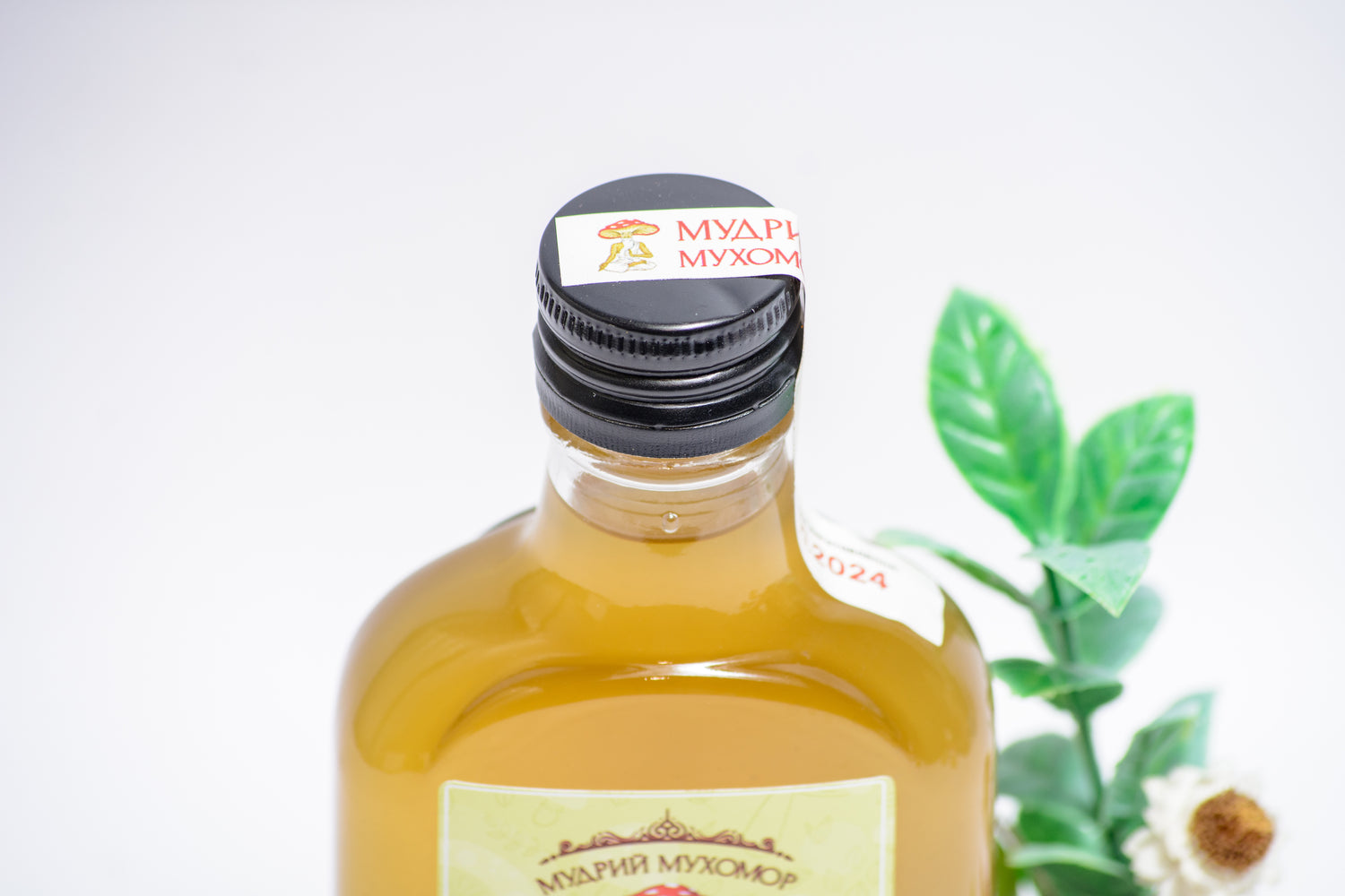 Веселка настоянка