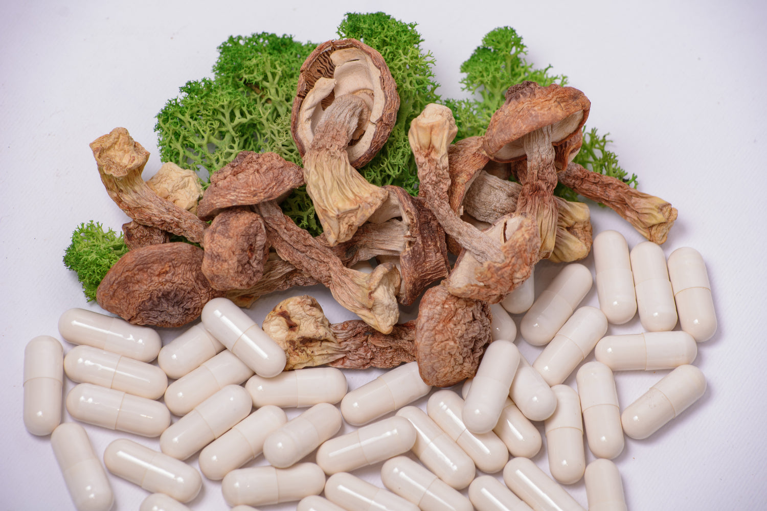 Екстракт Агаріка бразильського 10:1 в капсулах по 0.5 г