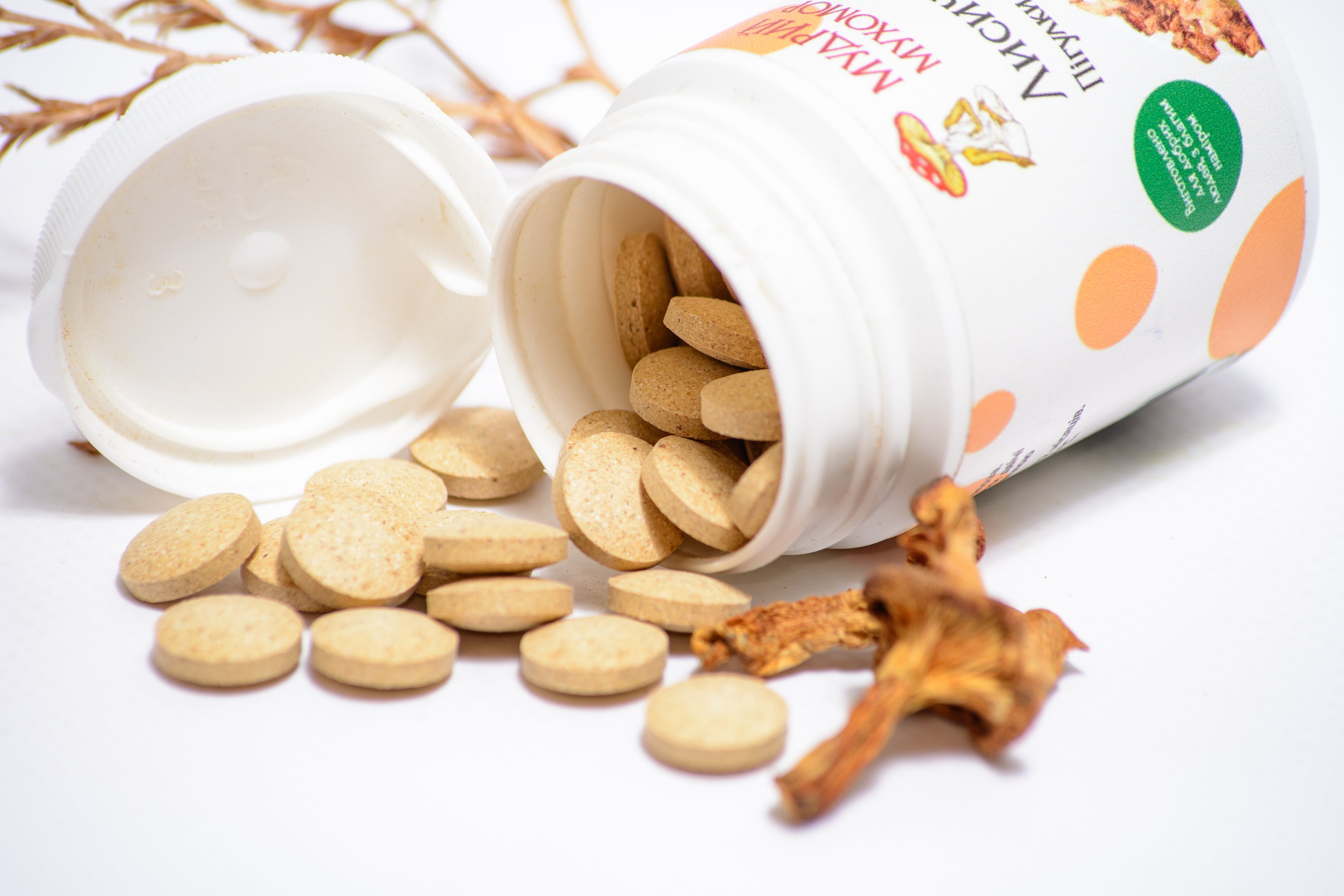 Лисичка справжня в пігулках по 0.4 г