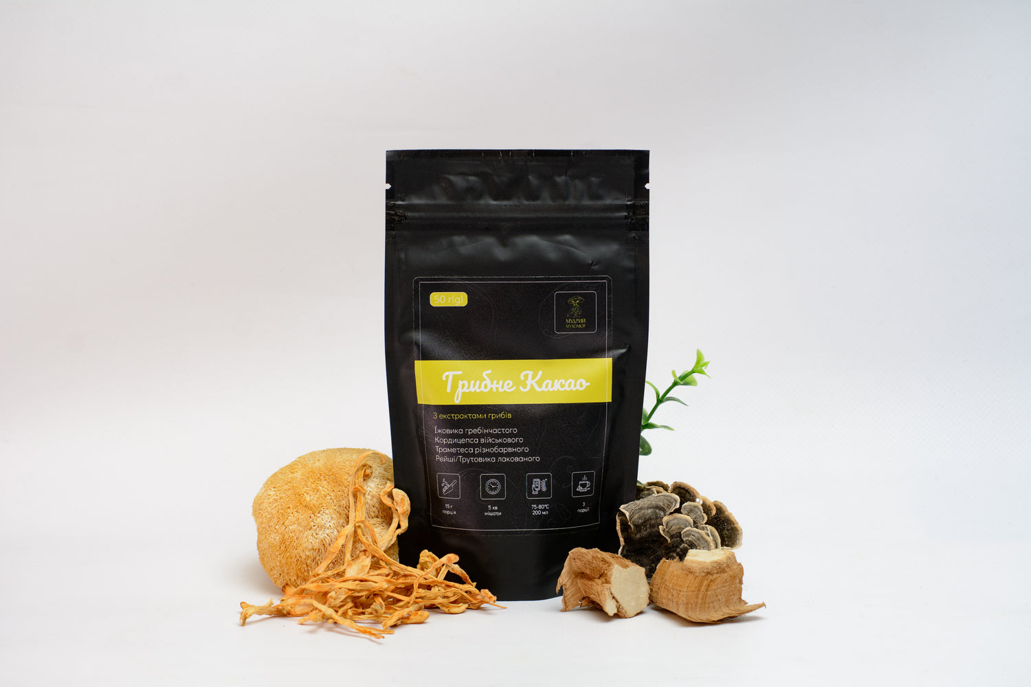 Грибне какао