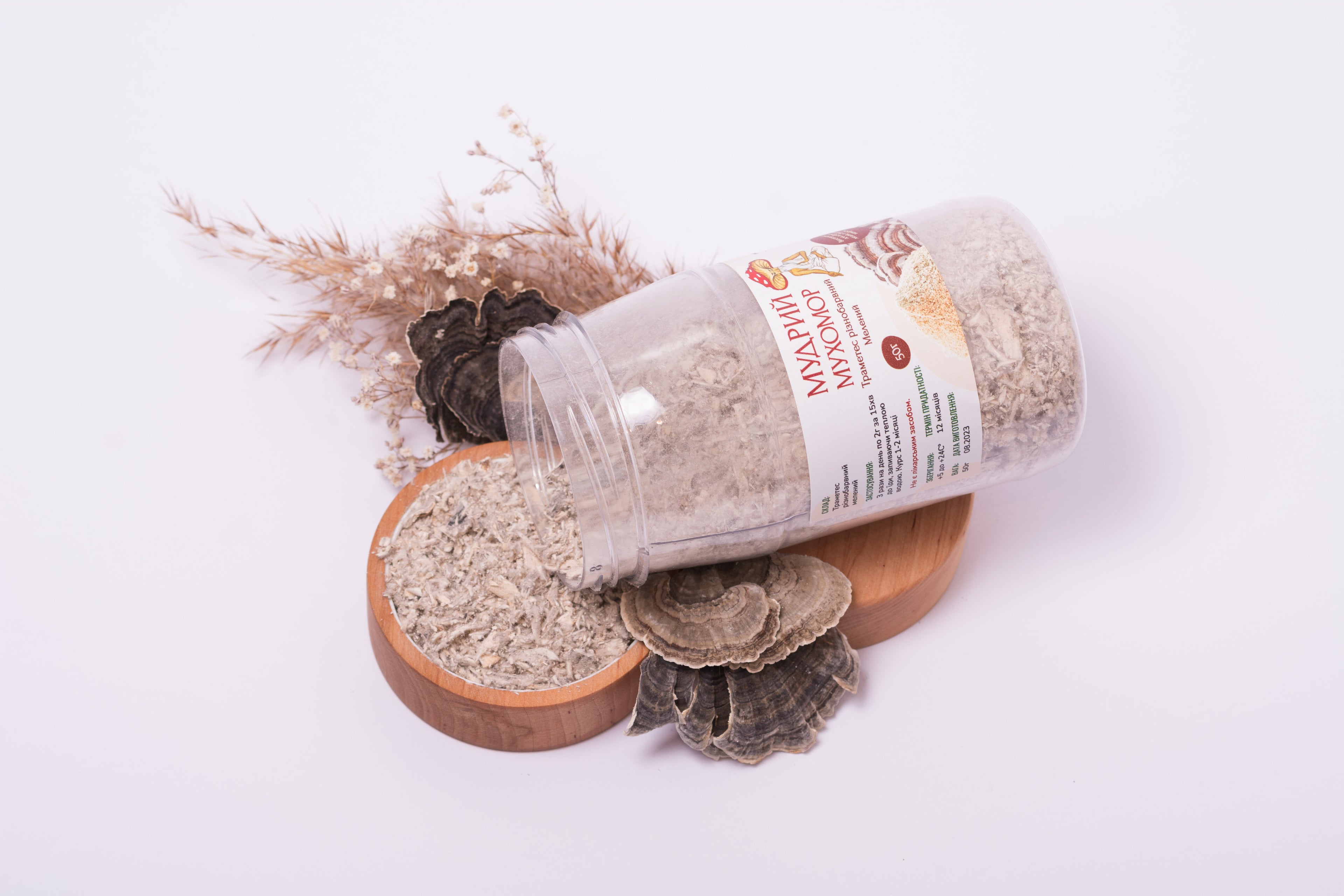 Траметес різнобарвний мелений