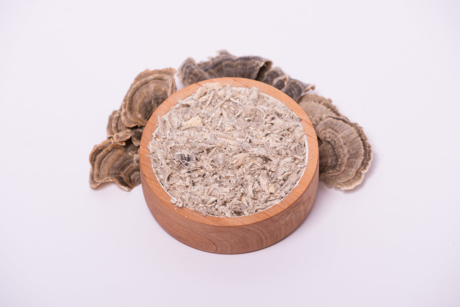 Траметес різнобарвний мелений