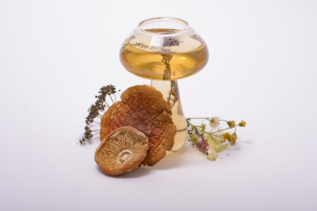 Чашка грибок