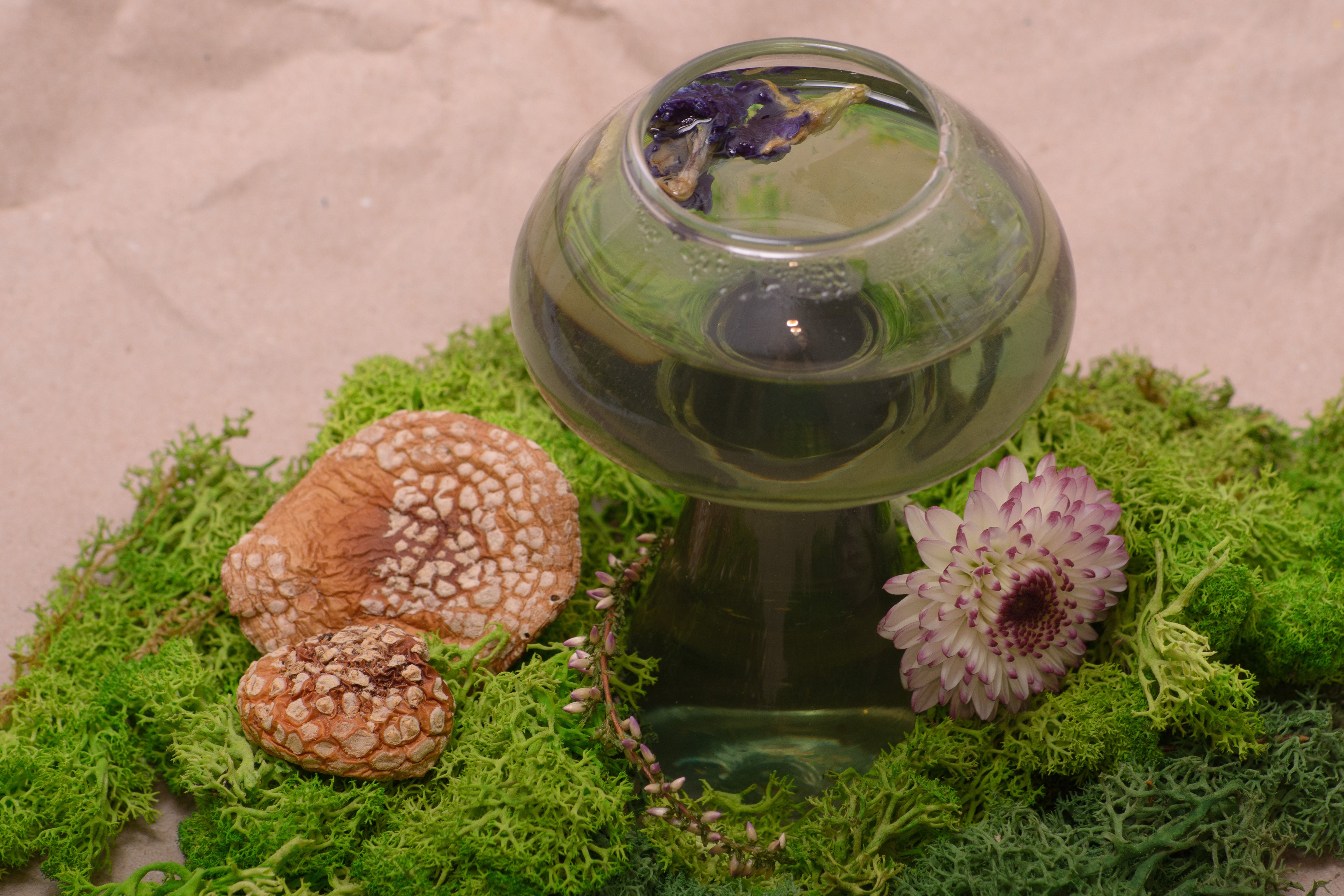 Чашка грибок