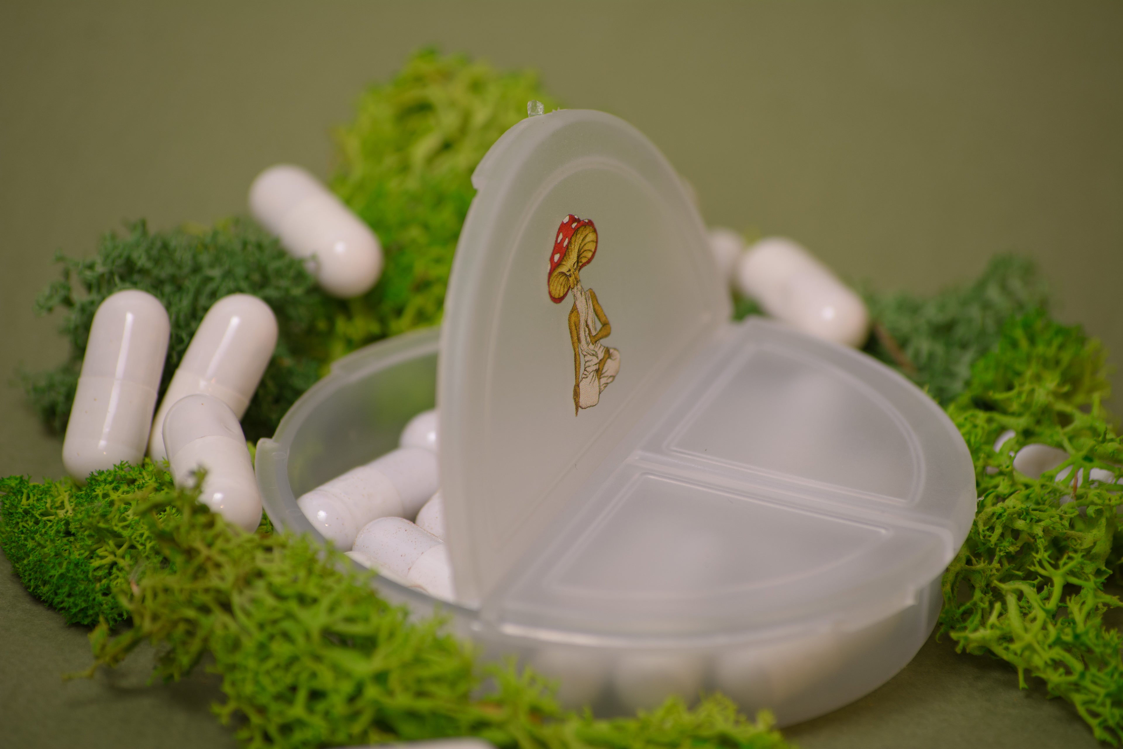 Таблетниця кишенькова «Мудрий мухомор»