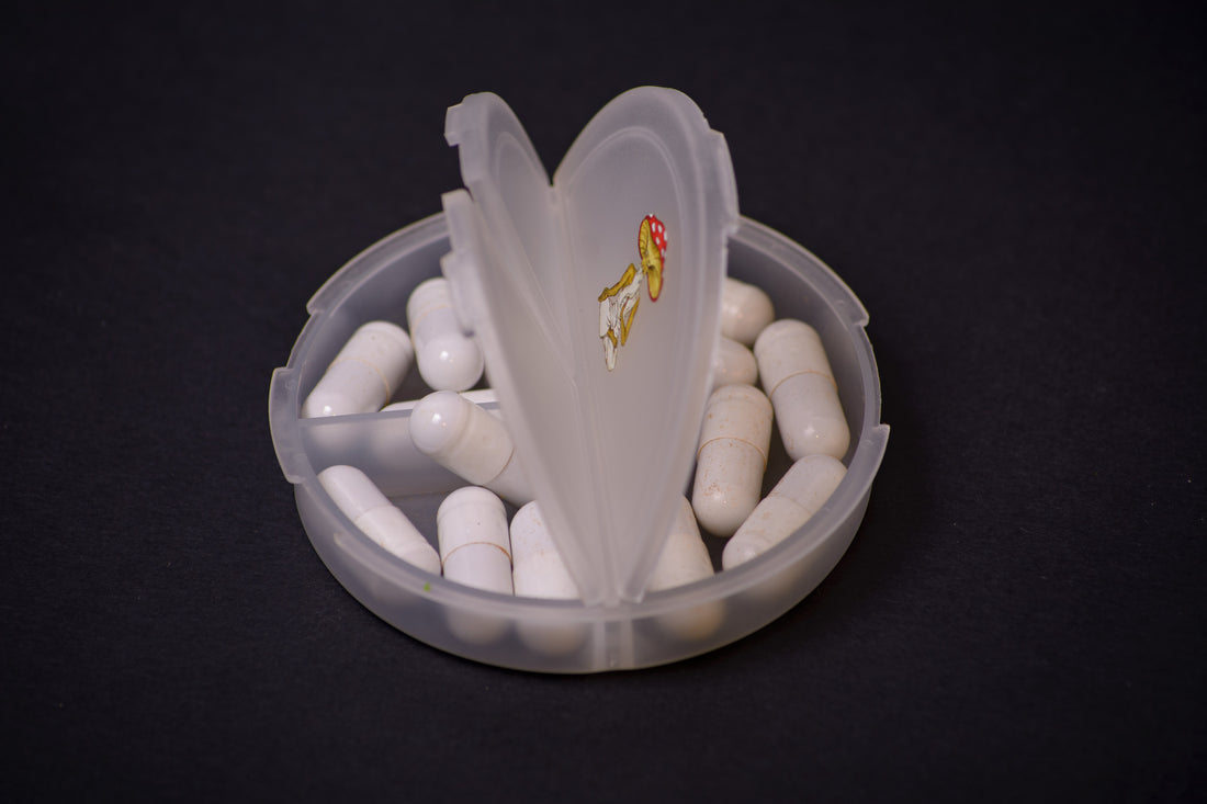 Таблетниця кишенькова «Мудрий мухомор»