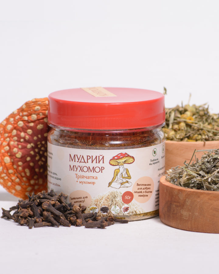 Трійчатка мелена з Мухомором червоним