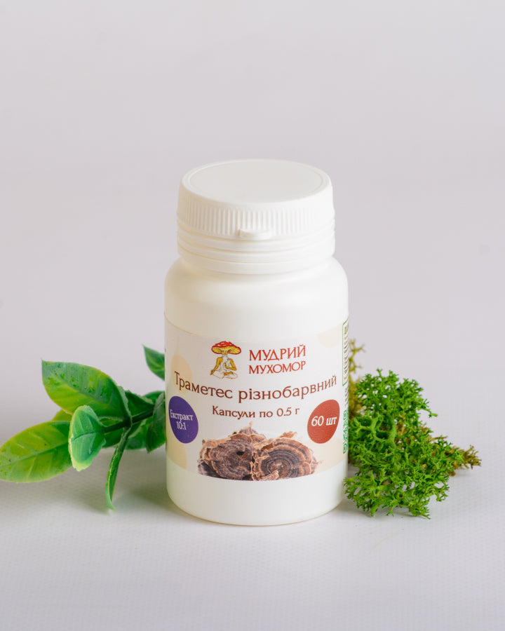 Екстракт Траметеса різнобарвного 10:1 у капсулах по 0.5 г