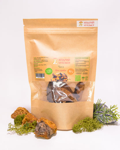 Березова Чага ціла