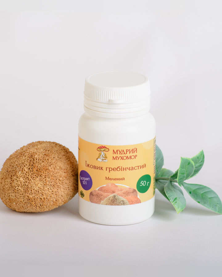 Екстракт Їжовика гребінчастого 10:1 мелений