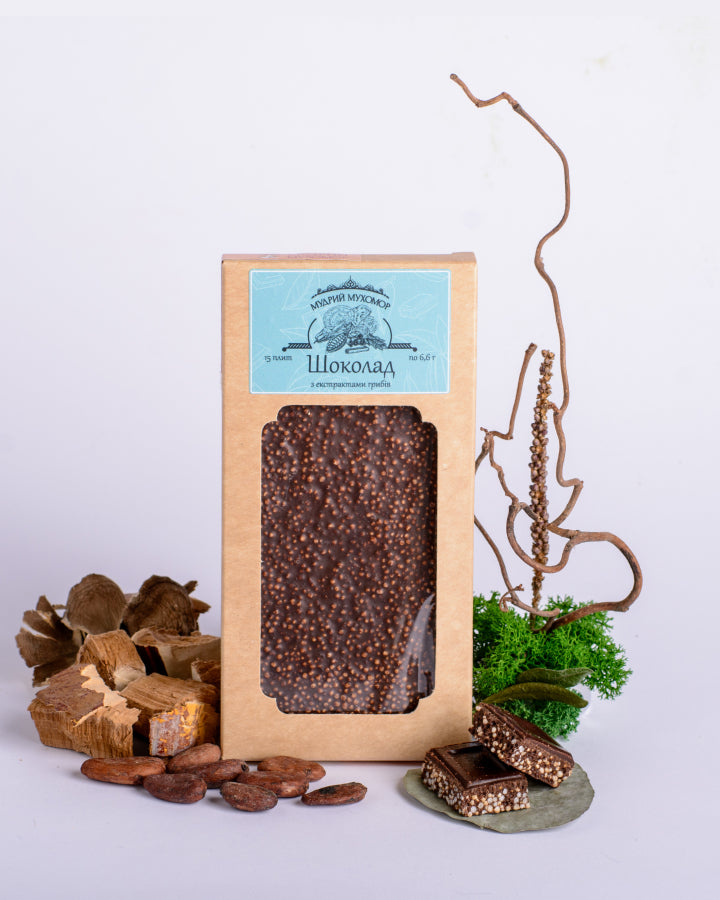 Шоколад грибний з екстрактами Рейші та Траметеса