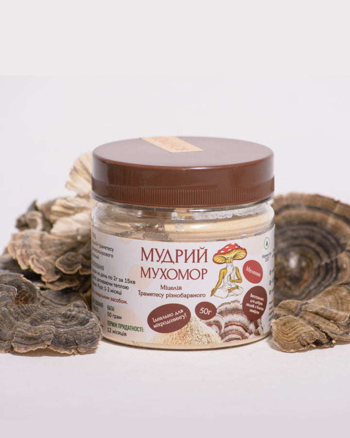 Траметес різнобарвний міцелій, мелений