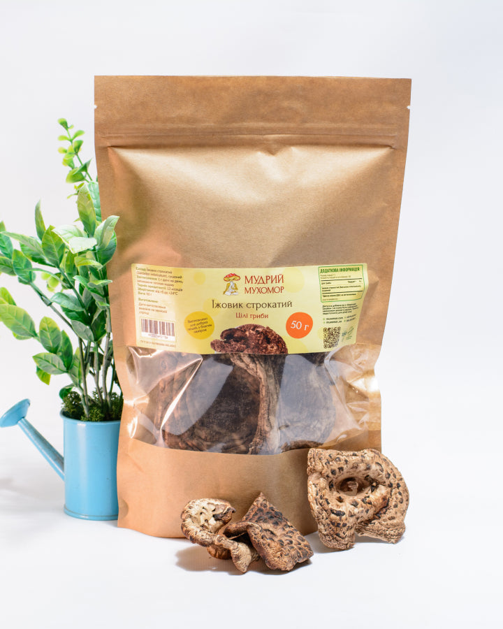 Цілі плодові тіла Їжовика строкатого