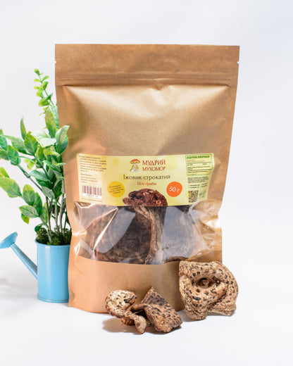 Цілі плодові тіла Їжовика строкатого