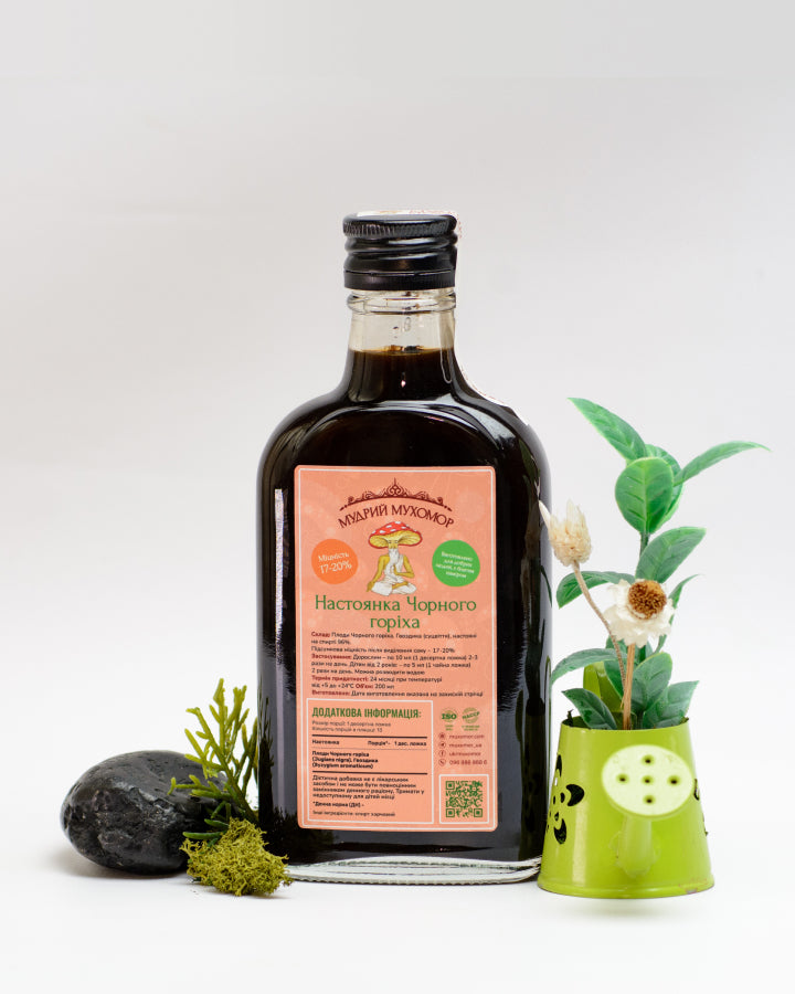 Чорний горіх настоянка