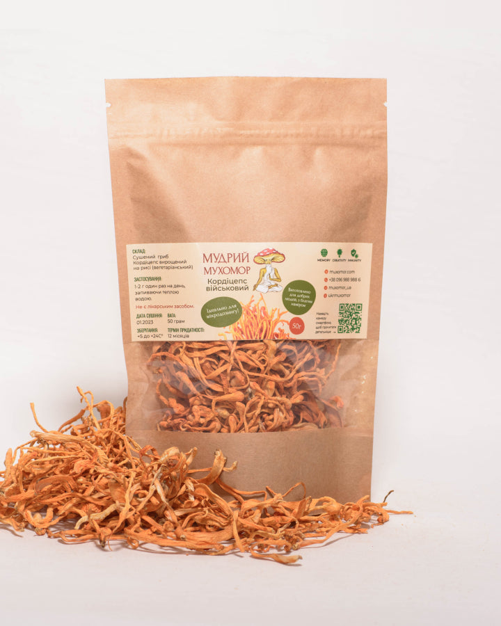 Цілі плодові тіла Кордицепса військового