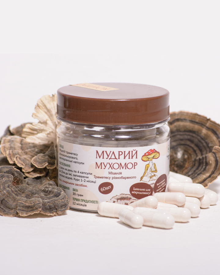 Траметес різнобарвний міцелій в капсулах по 0.5 г