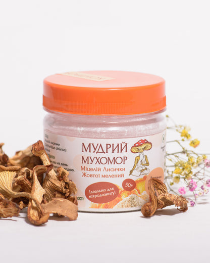 Лисичка справжня, мелений міцелій