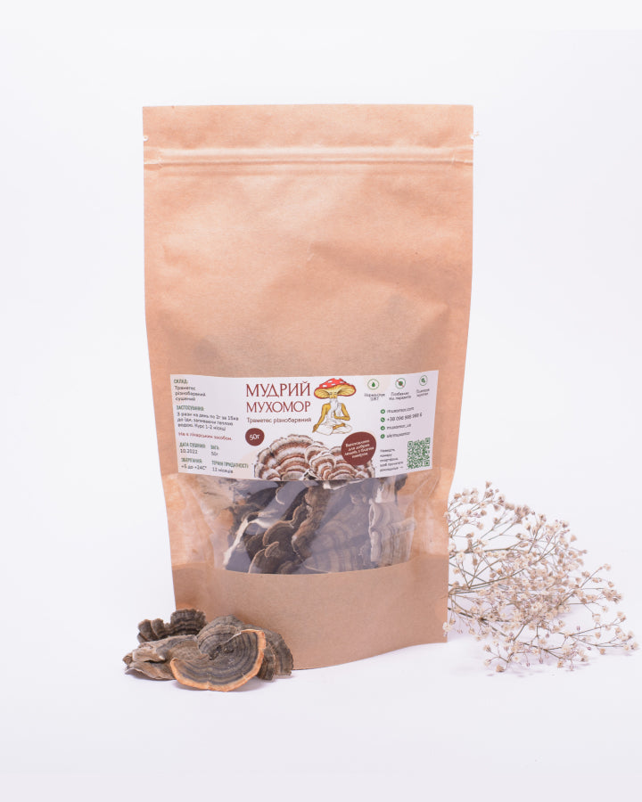 Цілі плодові тіла Траметеса різнобарвного