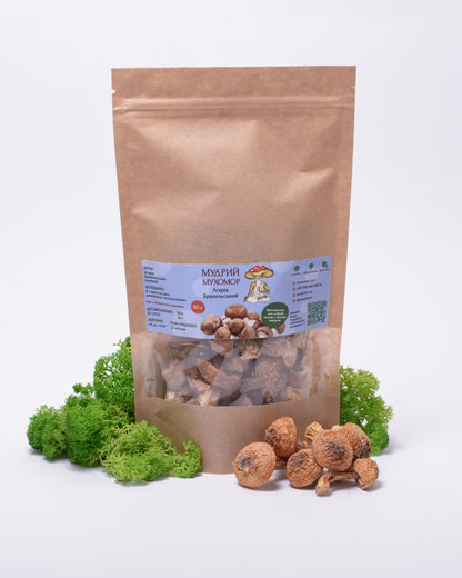 Цілі плодові тіла Агаріка бразильського