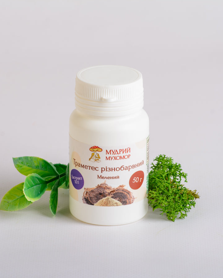 Екстракт Траметеса різнобарвного 10:1 мелений