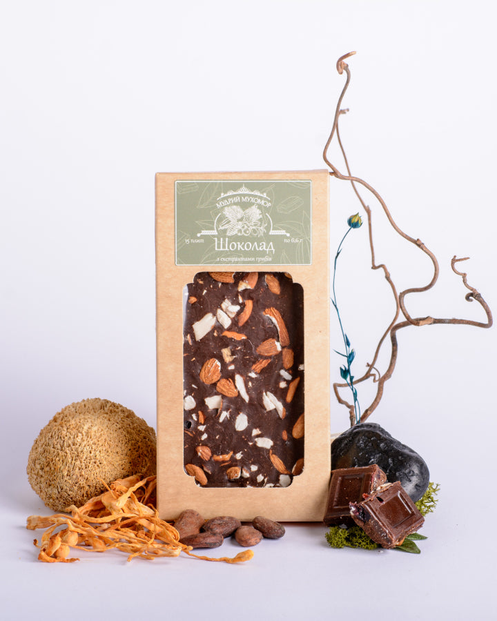 Шоколад грибний з екстрактами Їжовика гребінчастого та Кордицепса